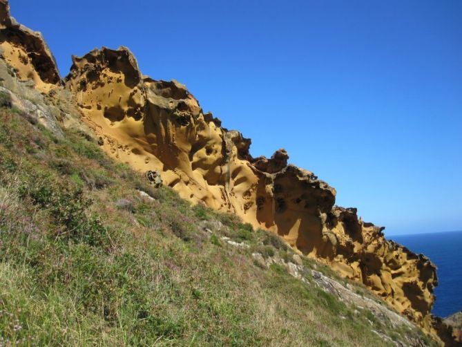 Ola Pétrea: foto en Pasaia