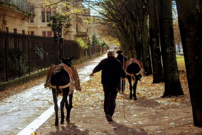 Olentzero: foto en Donostia-San Sebastián