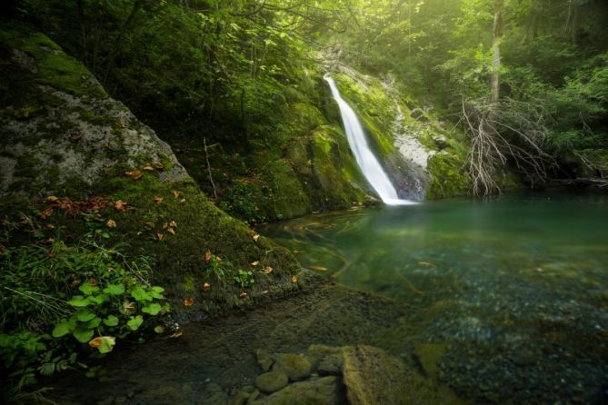 Osinberde: foto en Zaldibia