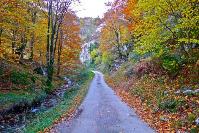 Otoño en Arantzazu : foto en Oñati