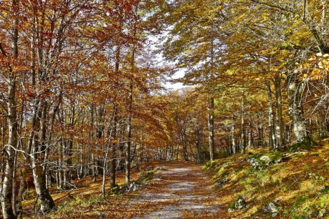 Otoño en Arantzazu: foto en Oñati