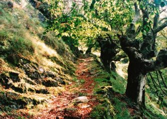 Otoño en la calzada de Enirio