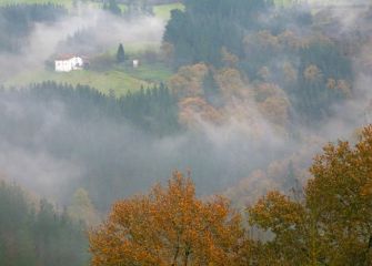 otoño entre nieblas