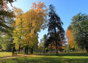 otoño ignaziano