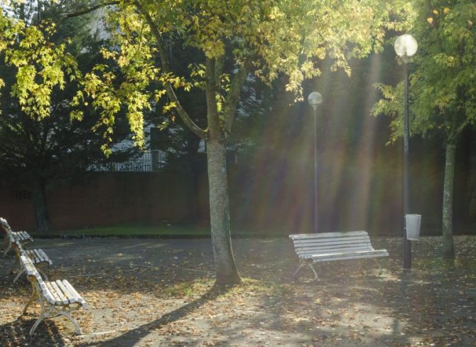 Otoño en el parque: foto en Donostia-San Sebastián