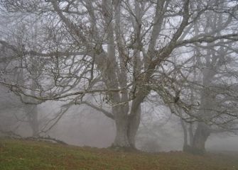 Pagoen misterioak