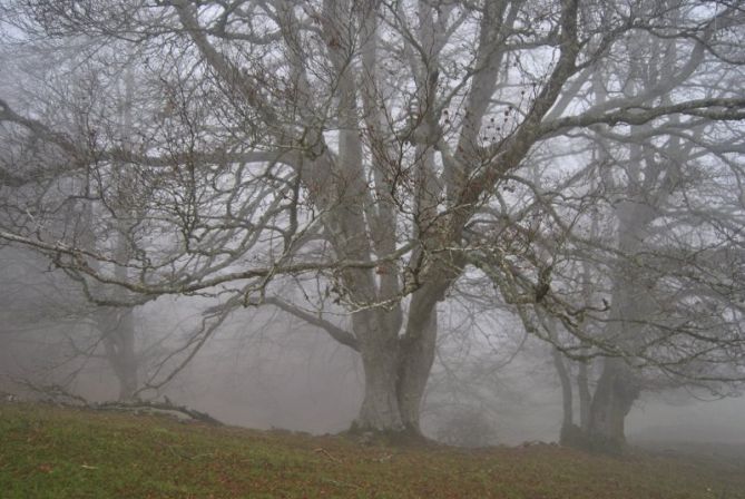 Pagoen misterioak: foto en Ataun