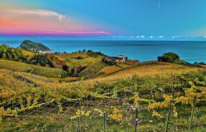 Paisaje de Getaria en otoño : foto en Getaria