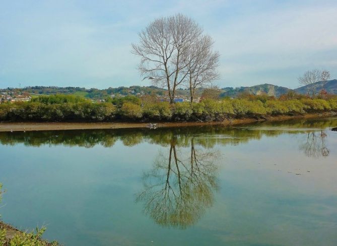 Paisaje Rio Bidasoa: foto en Irun