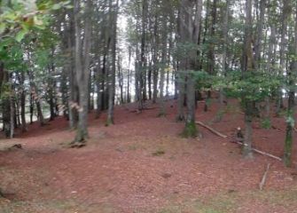 panorama anterior