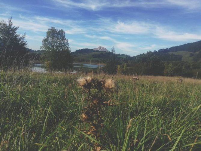 Pantano de Urkulu : foto en Aretxabaleta