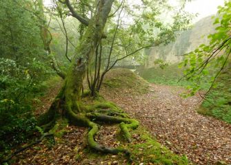 Parque de Ametzagaña.