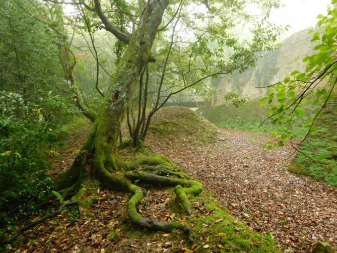 Parque de Ametzagaña.: foto en Donostia-San Sebastián