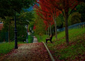 Paseo de colores