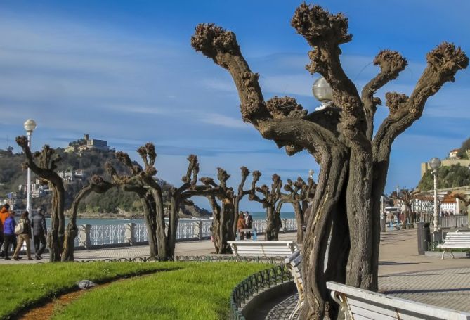 paseo de la concha: foto en Donostia-San Sebastián