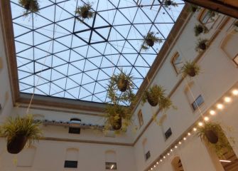 PLANTAS NIDO EN TABAKALERA