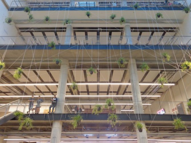 PLANTAS NIDOS EN TABAKALERA: foto en Donostia-San Sebastián