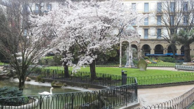 Se ve la primavera.: foto en Donostia-San Sebastián