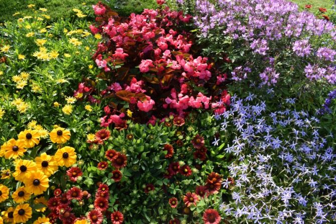 primavera: foto en Donostia-San Sebastián