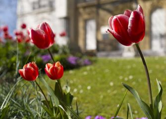 Primavera en el parque de Aiete