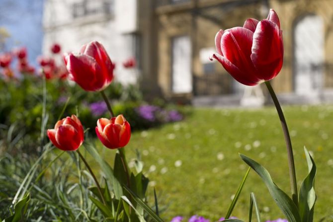 Primavera en el parque de Aiete: foto en Donostia-San Sebastián