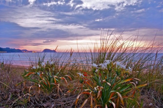 Primavera en la playa de Zarautz : foto en Zarautz