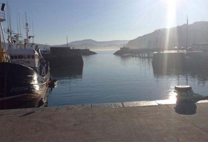 Puerto de Getaria: foto en Getaria