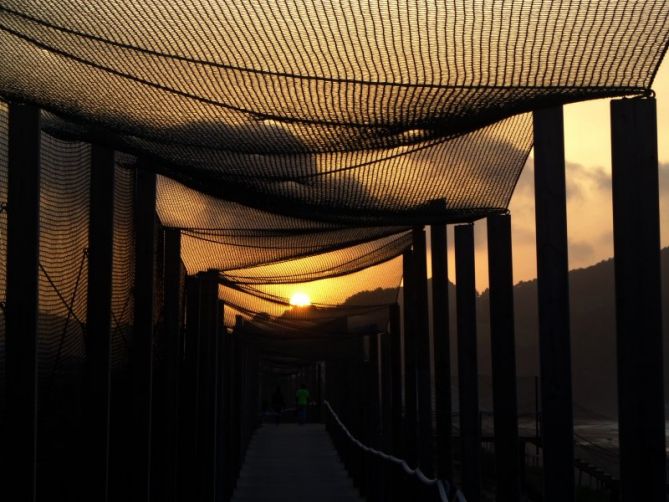 Puesta de sol enredada: foto en Zarautz