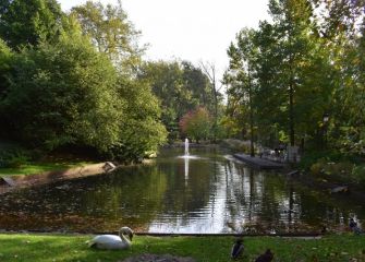 Ratos en el Parque Cristina Enea
