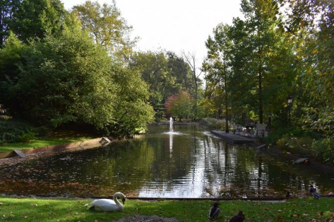 Ratos en el Parque Cristina Enea: foto en Donostia-San Sebastián