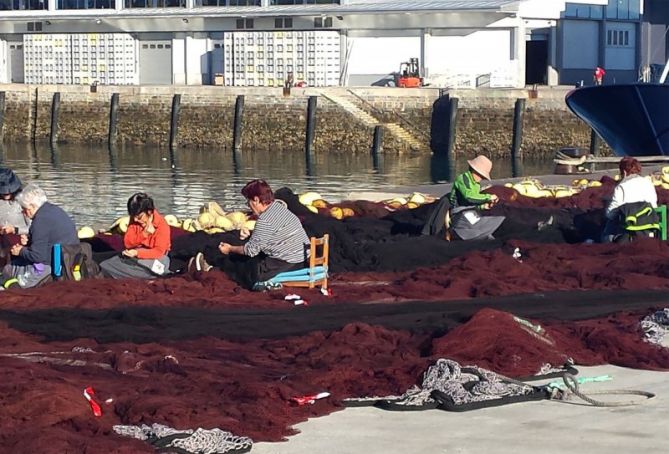 Rederas en Getaria: foto en Getaria