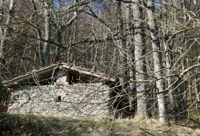 Refugio de Lizar-Iturri: foto en Urretxu