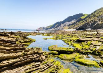 Relieves de la costa Gipuzkoana