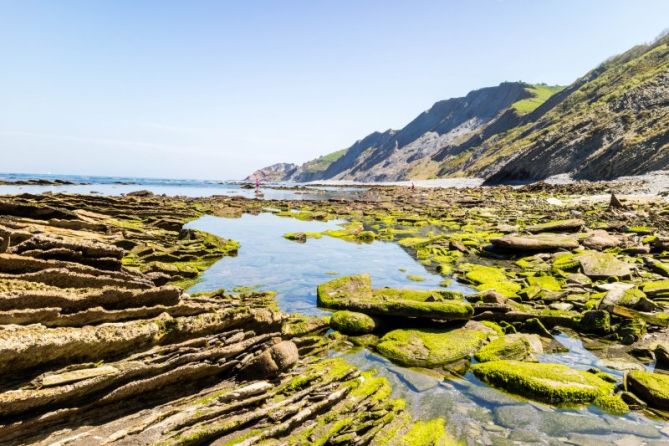 Relieves de la costa Gipuzkoana: foto en Zumaia