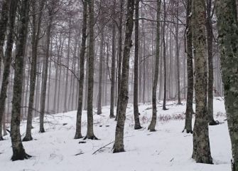 Silencio helador