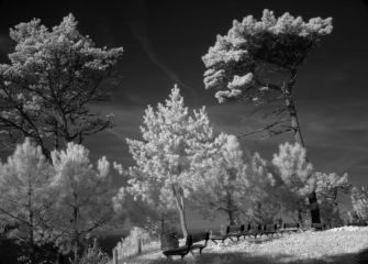 Sitio trankilo con vistas al mar
