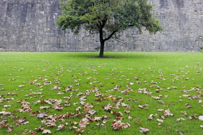 SOLEDAD: foto en Hondarribia