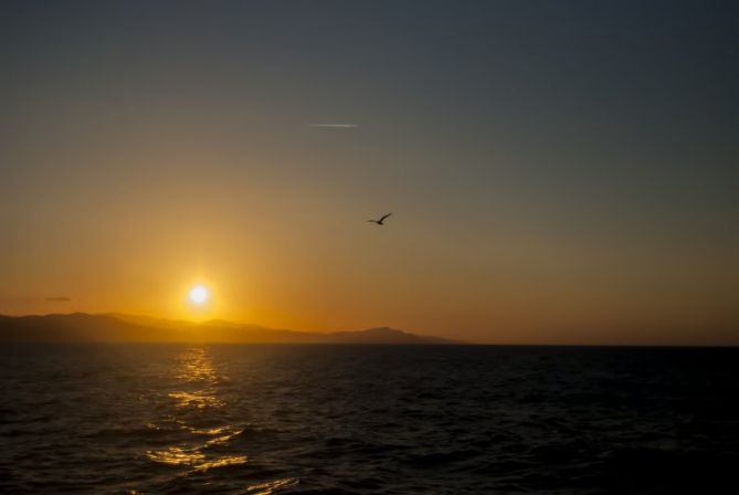 Tarde de verano en Zumaia: foto en Zumaia