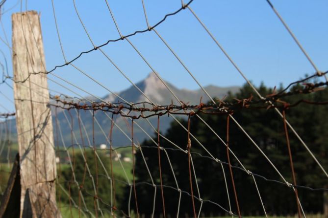 Textura: foto en Olaberria