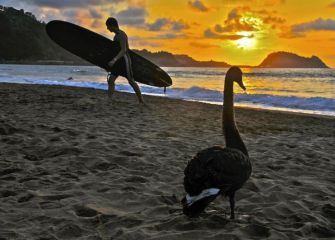 Turista especial  en Zarautz 
