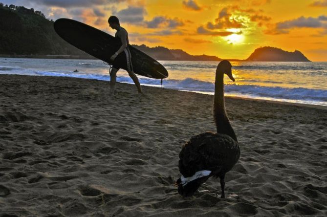 Turista especial  en Zarautz : foto en Zarautz