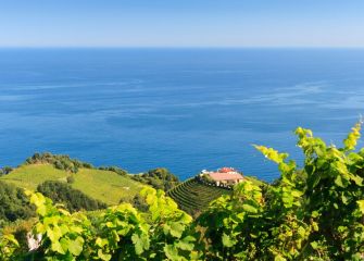 Txakolí cantábrico