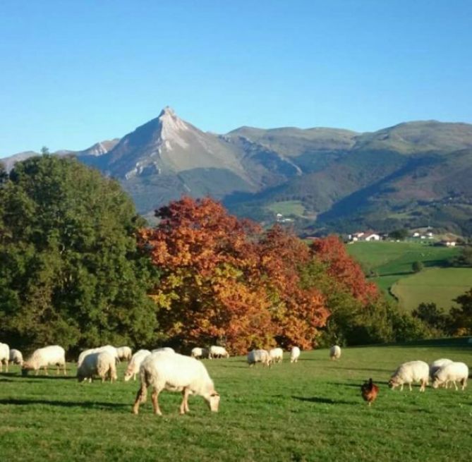 Txindoki: foto en Ordizia