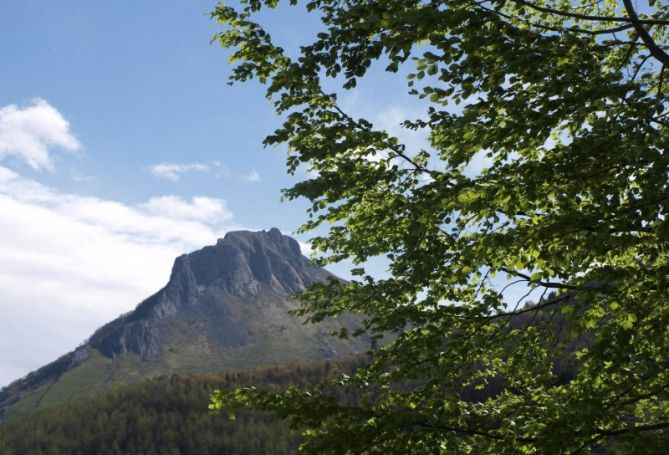 Txindoki asomando entre las hayas: foto en Zaldibia