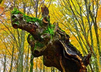 Udazken koloretan Arantzazun 