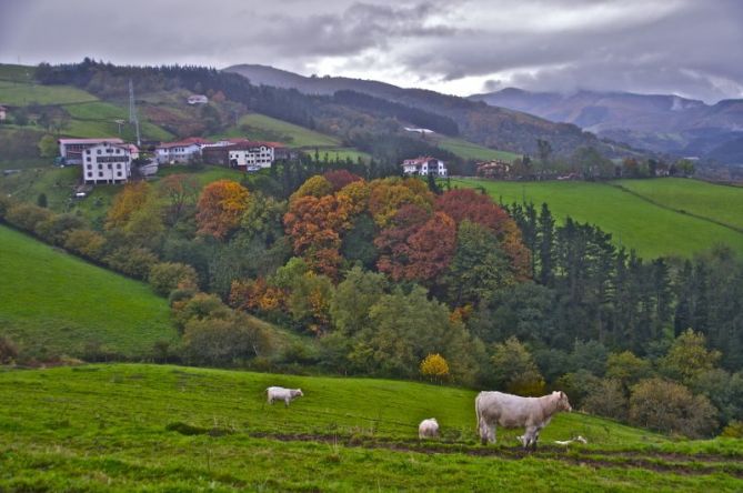 Udazkena : foto en Aia