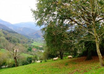 VALLE DE OIARTZUN