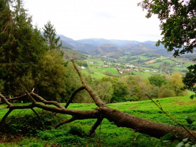 VALLE DE OIARTZUN: foto en Oiartzun