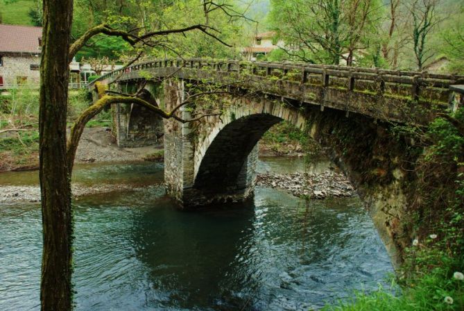 verdes: foto en Hernialde