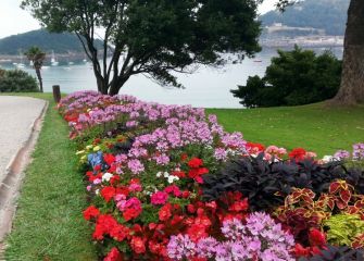 Vista desde el palacio de Miramar